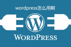 wordpress怎么用啊