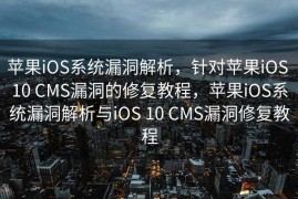 苹果iOS系统漏洞解析，针对苹果iOS 10 CMS漏洞的修复教程，苹果iOS系统漏洞解析与iOS 10 CMS漏洞修复教程