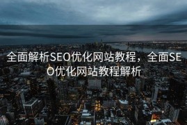 全面解析SEO优化网站教程，全面SEO优化网站教程解析