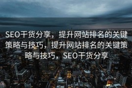 SEO干货分享，提升网站排名的关键策略与技巧，提升网站排名的关键策略与技巧，SEO干货分享