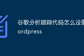 谷歌分析跟踪代码怎么设置wordpress