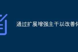 通过扩展增强主干以改善体验