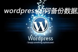 wordpress如何对数据库备份
