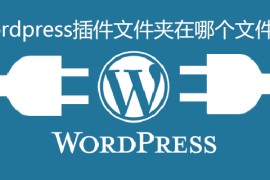 wordpress插件文件夹在哪个文件夹