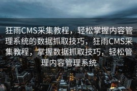 狂雨CMS采集教程，轻松掌握内容管理系统的数据抓取技巧，狂雨CMS采集教程，掌握数据抓取技巧，轻松管理内容管理系统