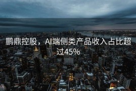 鹏鼎控股，AI端侧类产品收入占比超过45%