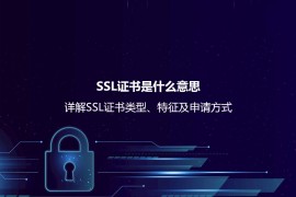 SSL证书是什么意思？详解SSL证书类型、特征及申请方式