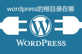 wordpress的根目录在哪