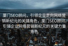厦门SEO顾问，引领企业走向网络营销新纪元的关键角色，厦门SEO顾问，引领企业网络营销新纪元的关键力量角色