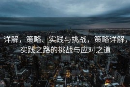 详解，策略、实践与挑战，策略详解，实践之路的挑战与应对之道