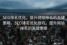SEO排名优化，提升网站排名的关键策略，SEO排名优化技巧，提升网站排名的关键策略