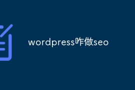 wordpress咋做seo
