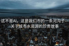这不是AI，这是我们市的一条河沟子—关于城市水资源的珍贵故事