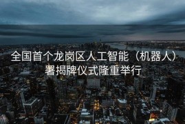 全国首个龙岗区人工智能（机器人）署揭牌仪式隆重举行