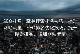 SEO排名，掌握搜索排名技巧，提升网站流量，SEO排名优化技巧，提升搜索排名，增加网站流量