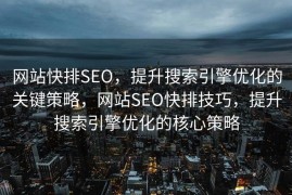 网站快排SEO，提升搜索引擎优化的关键策略，网站SEO快排技巧，提升搜索引擎优化的核心策略