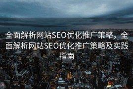 全面解析网站SEO优化推广策略，全面解析网站SEO优化推广策略及实践指南