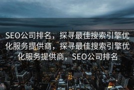 SEO公司排名，探寻最佳搜索引擎优化服务提供商，探寻最佳搜索引擎优化服务提供商，SEO公司排名