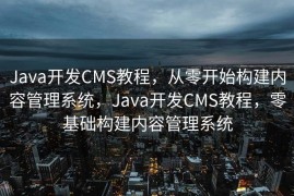 Java开发CMS教程，从零开始构建内容管理系统，Java开发CMS教程，零基础构建内容管理系统