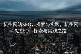 杭州网站SEO，探索与实践，杭州网站SEO，探索与实践之路