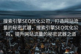 搜索引擎SEO优化公司，打造网站流量的秘密武器，搜索引擎SEO优化公司，提升网站流量的秘密武器之道