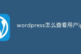 wordpress怎么查看用户ip