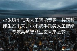小米吸引顶尖人工智能专家，共筑智能生态未来，小米携手顶尖人工智能专家共筑智能生态未来之梦