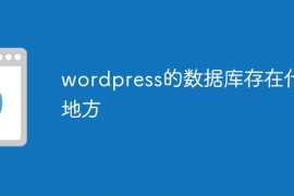 wordpress的数据库存在什么地方