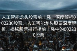 人工智能龙头股票前十强，深度解析002230股票，人工智能龙头股票深度解析，揭秘股票排行榜前十强中的002230股票