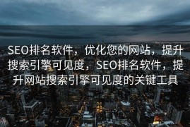 SEO排名软件，优化您的网站，提升搜索引擎可见度，SEO排名软件，提升网站搜索引擎可见度的关键工具