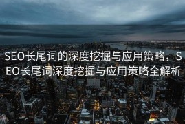SEO长尾词的深度挖掘与应用策略，SEO长尾词深度挖掘与应用策略全解析