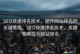 SEO快速排名技术，提升网站排名的关键策略，SEO快速排名技术，关键策略提升网站排名