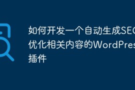 如何开发一个自动生成SEO优化相关内容的WordPress插件