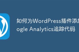 如何为WordPress插件添加Google Analytics追踪代码