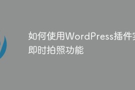 如何使用WordPress插件实现即时拍照功能