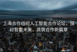 上海合作组织人工智能合作论坛，探讨智能未来，共筑合作新篇章