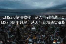 CMS3.0使用教程，从入门到精通，CMS3.0使用教程，从入门到精通实战指南
