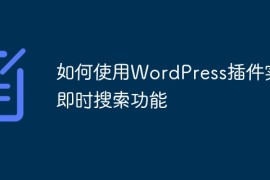 如何使用WordPress插件实现即时搜索功能