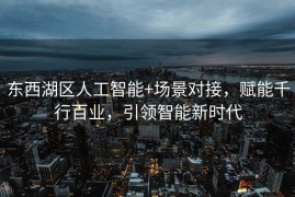 东西湖区人工智能+场景对接，赋能千行百业，引领智能新时代