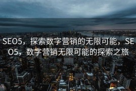 SEO5，探索数字营销的无限可能，SEO5，数字营销无限可能的探索之旅