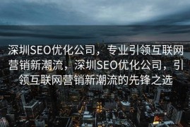 深圳SEO优化公司，专业引领互联网营销新潮流，深圳SEO优化公司，引领互联网营销新潮流的先锋之选