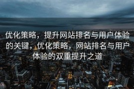优化策略，提升网站排名与用户体验的关键，优化策略，网站排名与用户体验的双重提升之道