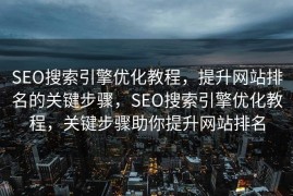 SEO搜索引擎优化教程，提升网站排名的关键步骤，SEO搜索引擎优化教程，关键步骤助你提升网站排名