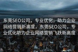 东莞SEO公司，专业优化，助力企业网络营销新高度，东莞SEO公司，专业优化助力企业网络营销飞跃新高度