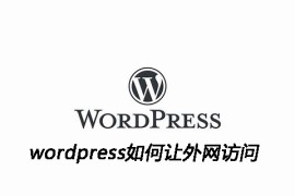 wordpress如何让外网访问