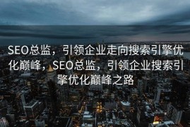 SEO总监，引领企业走向搜索引擎优化巅峰，SEO总监，引领企业搜索引擎优化巅峰之路