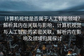 计算机视觉是否属于人工智能领域？解析其内在关联与影响，计算机视觉与人工智能的紧密关联，解析内在影响及领域归属探讨