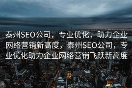 泰州SEO公司，专业优化，助力企业网络营销新高度，泰州SEO公司，专业优化助力企业网络营销飞跃新高度