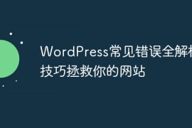 WordPress常见错误全解析：技巧拯救你的网站