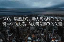 SEO，掌握技巧，助力网站腾飞的关键，SEO技巧，助力网站腾飞的关键